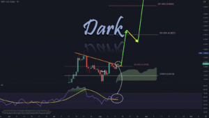 ما هي توقعات سعر XRP مع توجه الحيتان نحو الريبل؟