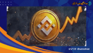 ارتفاع القيمة السوقية ل BNB لأكثر من 112 مليار دولار.. فما الذي يعنيه هذا الإنجاز؟