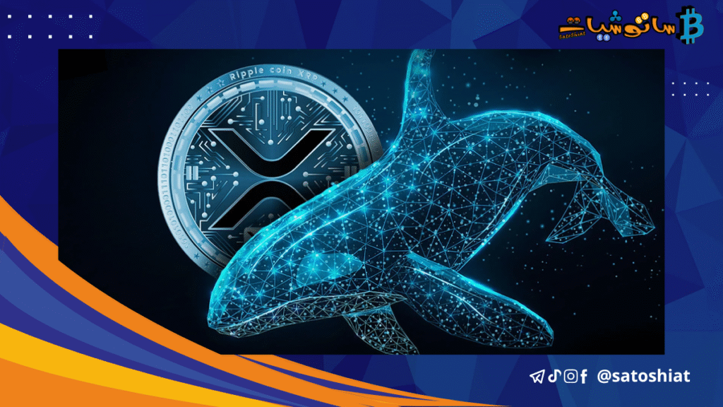 ما هي توقعات سعر XRP مع توجه الحيتان نحو الريبل؟