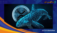 ما هي توقعات سعر XRP مع توجه الحيتان نحو الريبل؟