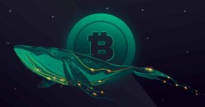 توجه الحيتان إلى عملة الإيثريوم.. وتراجع البيتكوين إلى 112,700