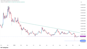 أهم الأسباب وراء انهيار سعر شيبا إينو في عام 2025