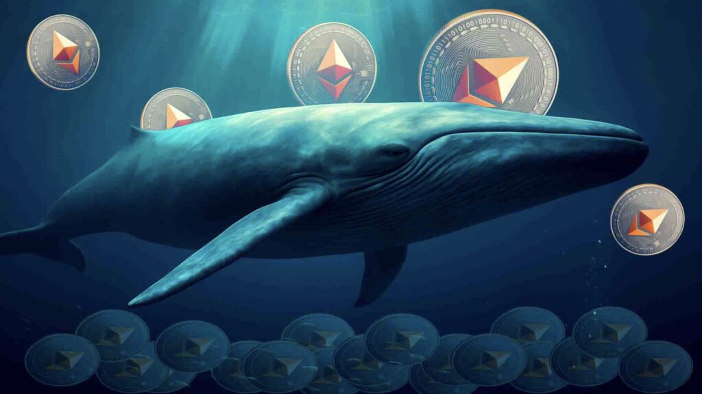 حيتان الإيثيريوم تضخ الأموال بصمت | هل تعود الثقة إلى ETH؟