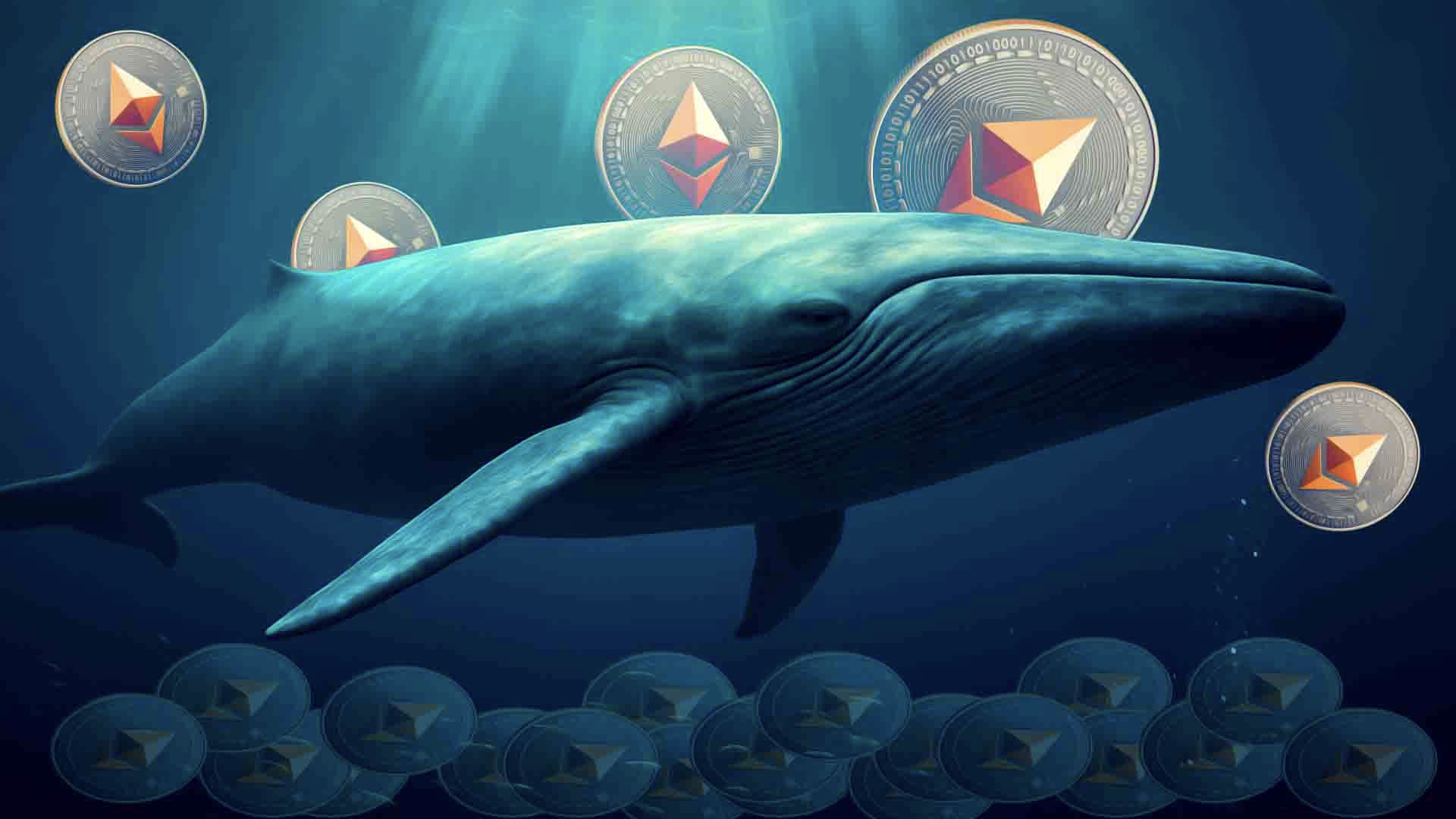حيتان الإيثيريوم تضخ الأموال بصمت | هل تعود الثقة إلى ETH؟