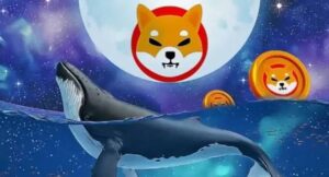 أهم الأسباب وراء انهيار سعر شيبا إينو في عام 2025