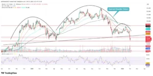 يدخل البيتكوين منطقة الخطر | هل سيتكرر التاريخ مع انخفاض بنسبة 50%؟
